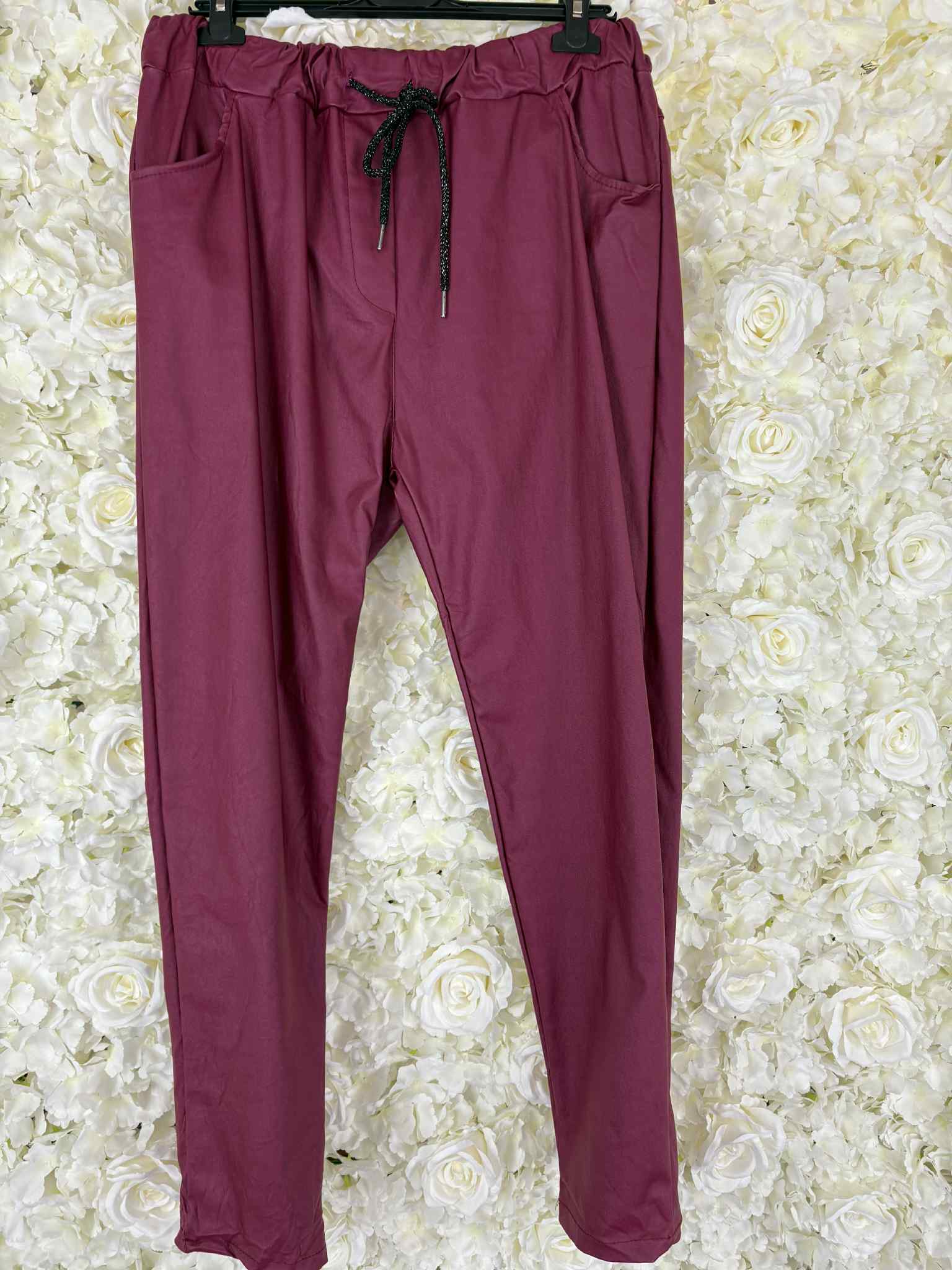 Maxine - Wet Look Magic Trousers 14 to 22