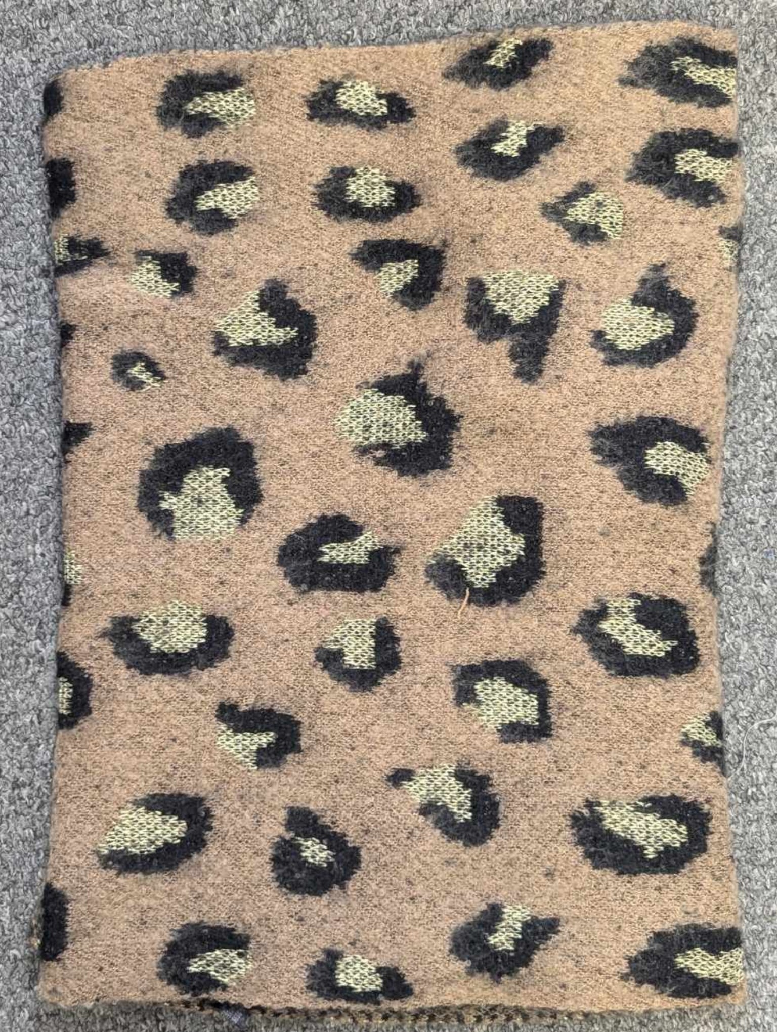 Jennah -  Animal Print Scarf